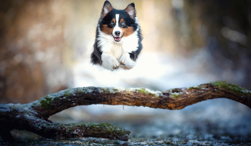 Max Kremer Photography / Cliqo sàrl-s